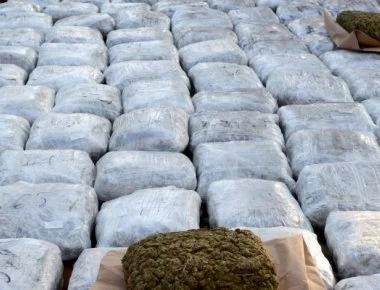 4 δισ δολάρια η αξία των ναρκωτικών που παράγονται στην Αλβανία